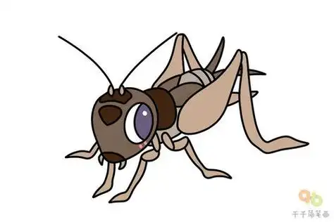 蟋蟀简笔画 蟋蟀简笔画图片带颜色