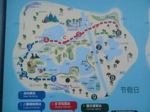 各类的植物,感觉什么植物都看到了,还是挺长知识的_上海辰山植物园"的