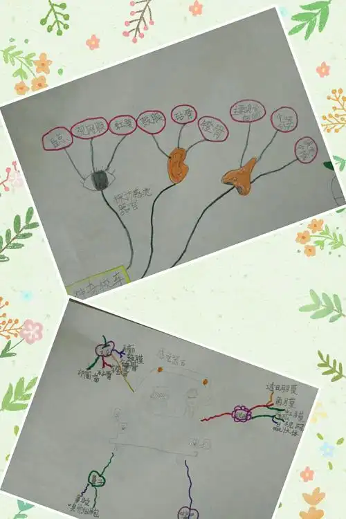 在老师和爸爸妈妈的指导下,我们完成了《神奇校车》的思维导