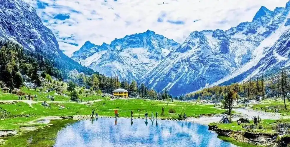 顶流福宝回阿坝阿坝文旅积极对接韩国市场