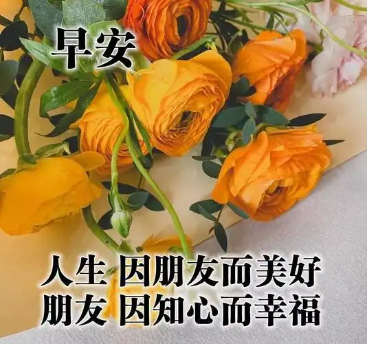 朋友圈全新早安暖心祝福图片带字,2021年最美的早安祝福问候暖心语录