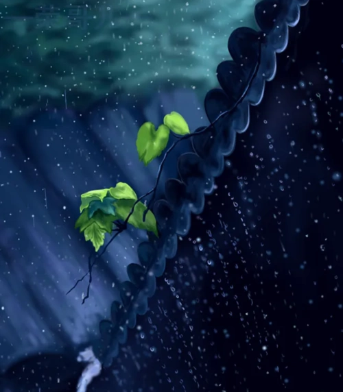 雨的诗歌12首有关小雨的诗词