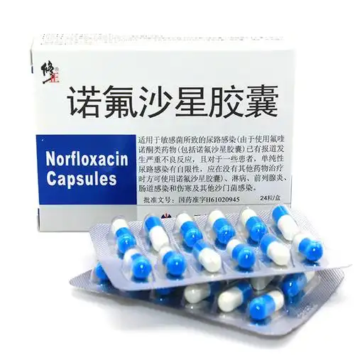 修正 诺氟沙星胶囊 0.
