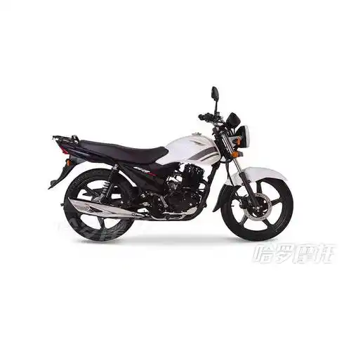 2019款济南铃木qs150悍俊复古版摩托车报价