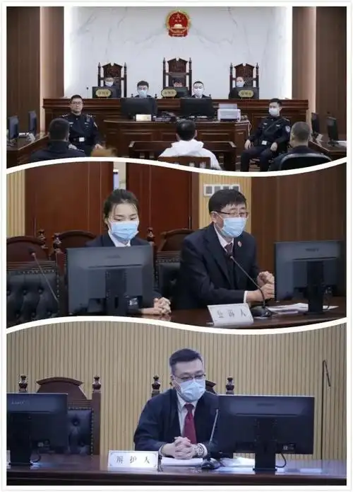 包庇恶势力犯罪集团成员,内蒙古通辽一区公安分局副局长被判有期徒刑