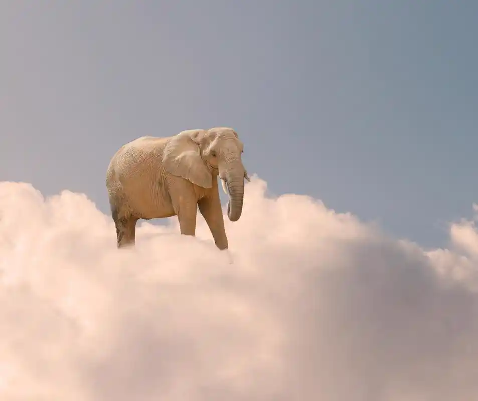 大象在天上的云,大象在天上,室外的云