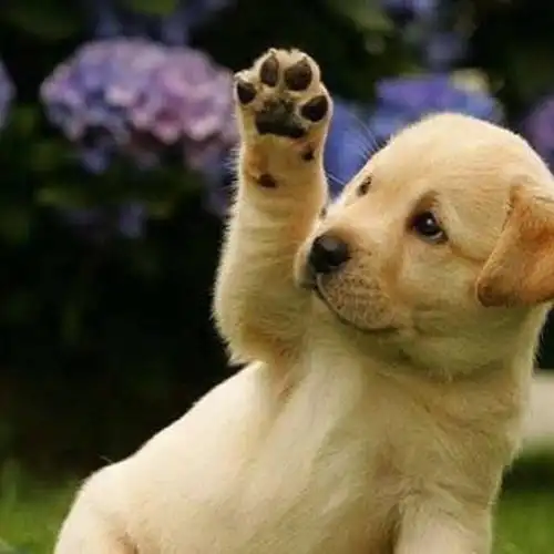 击掌为约,不可以反悔