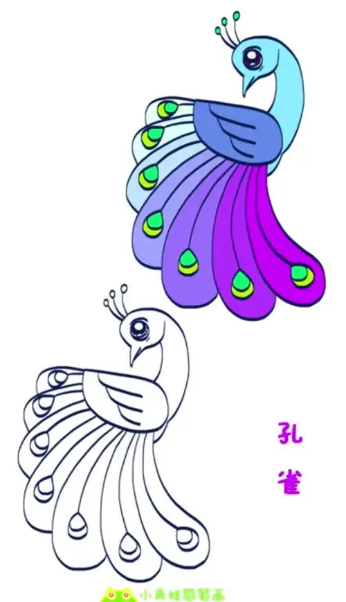 简笔画#简笔画大全,孔雀