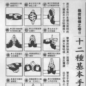 教你火影忍者里的结印手势.@易苏的封闭货车的动态