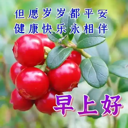 早上好祝福语图片,友谊永远珍藏,祝福念念不忘!