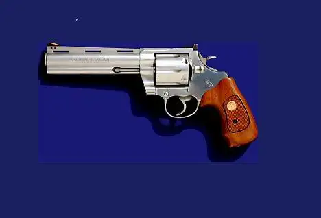 男主的武器 50马格南