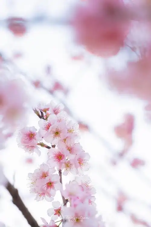 640_959竖版 竖屏