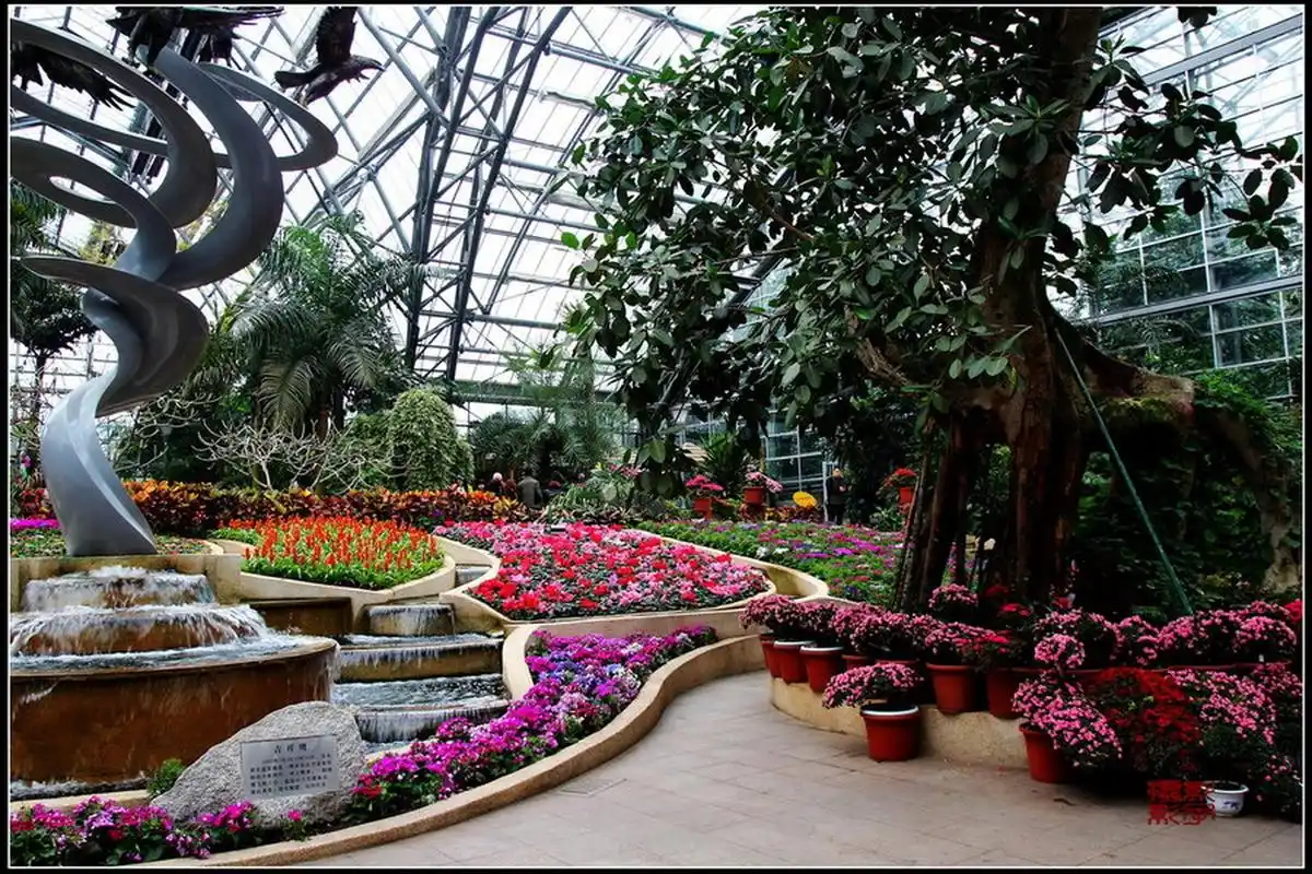 重庆南山植物园是一个非常适合夏季避暑的地方,拥有1500多种植物,其中