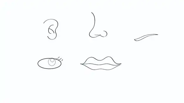 五官的简单画法