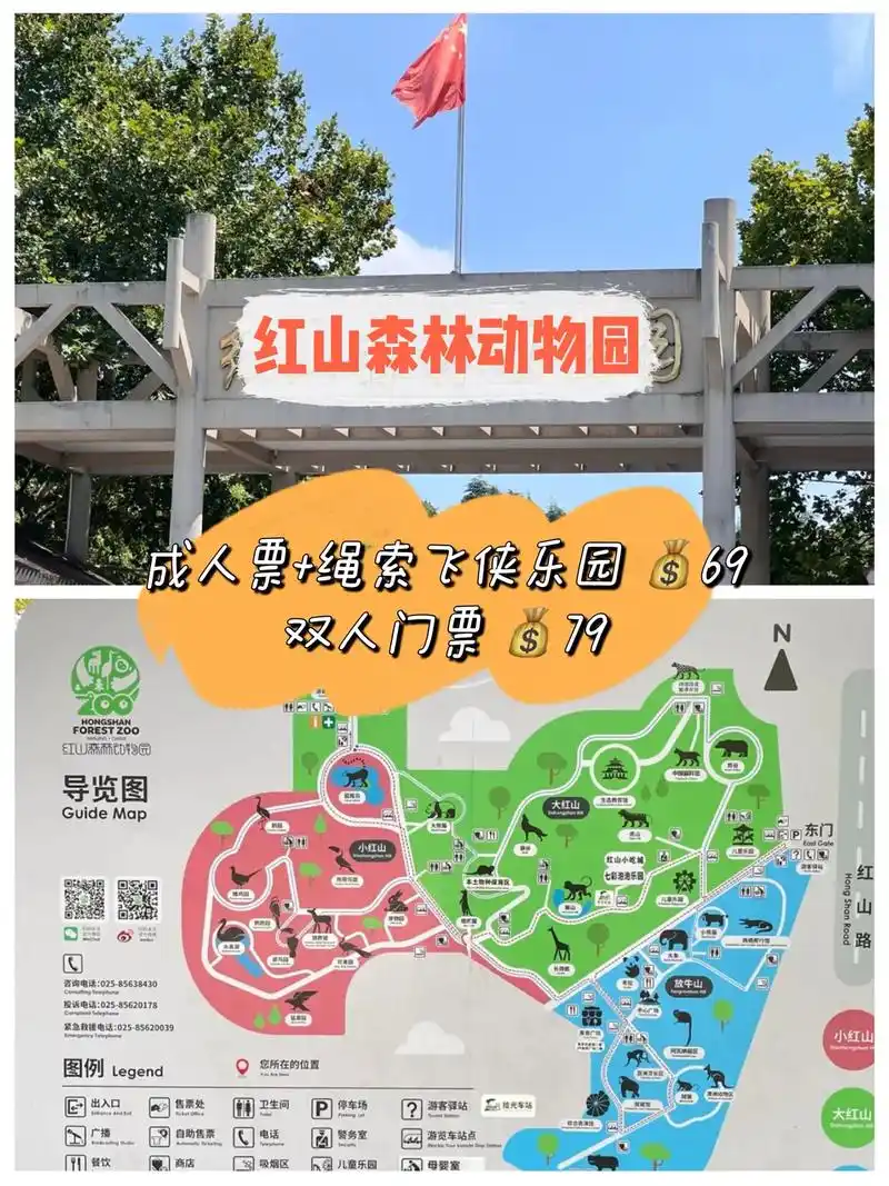 红山森林动物园小动物们叫你来打卡啦