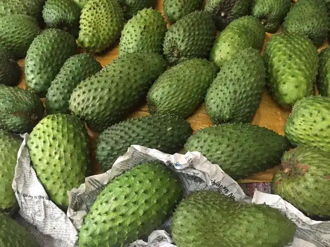 新鲜刺果番荔枝红毛榴莲野生大个皮薄多肉进口水果3斤装酸甜可口