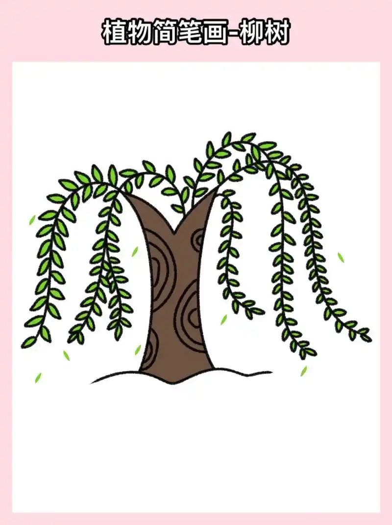 柳树简笔画(附教程)柳树简笔画教程来了,小朋友们快来和柚子老 - 抖音