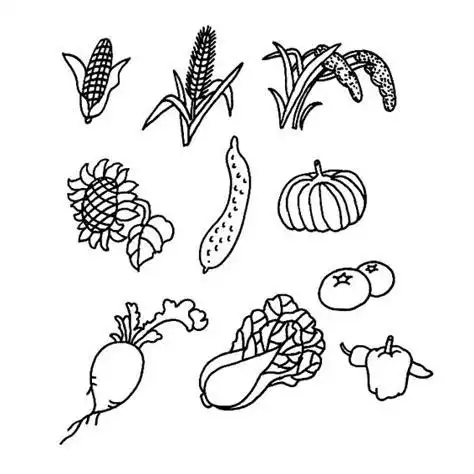 简单画水果蔬菜的画蔬菜水果儿童画2022已更新今日更新