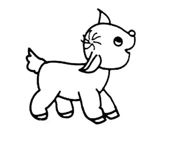 幼儿简笔画小羊的画法如何画小羊简笔画步骤