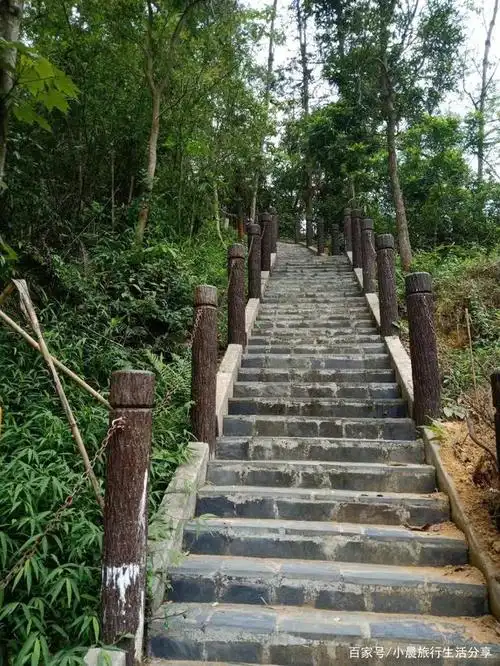 田心森林公园分享