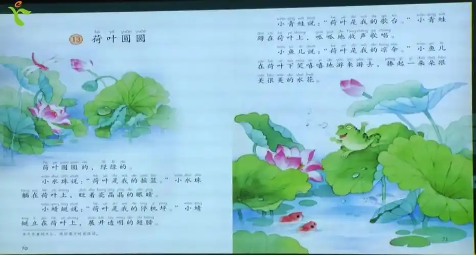 29一年级语文13《荷叶圆圆》第一课时知识点回顾,作业布置和完成及