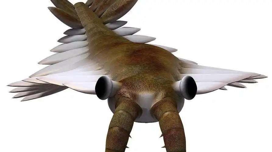 一分钟了解奇虾