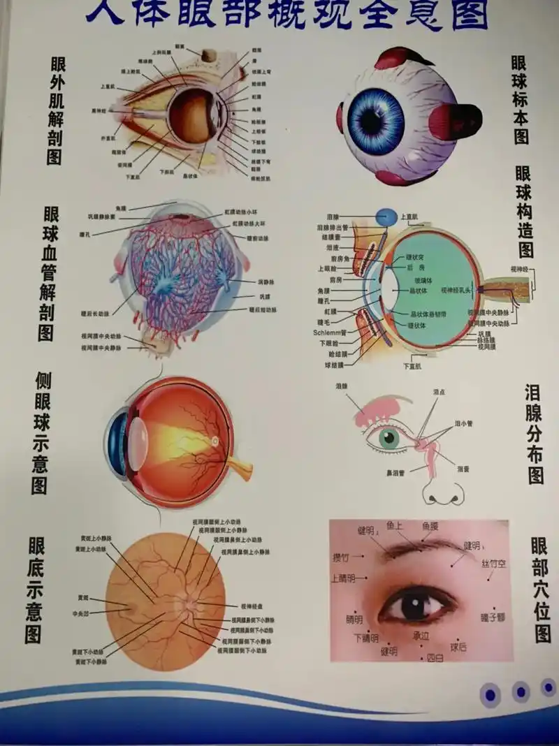 配眼镜我们是专业的查尔斯顿国际品牌#专业验光科学配镜 #专业 - 抖音
