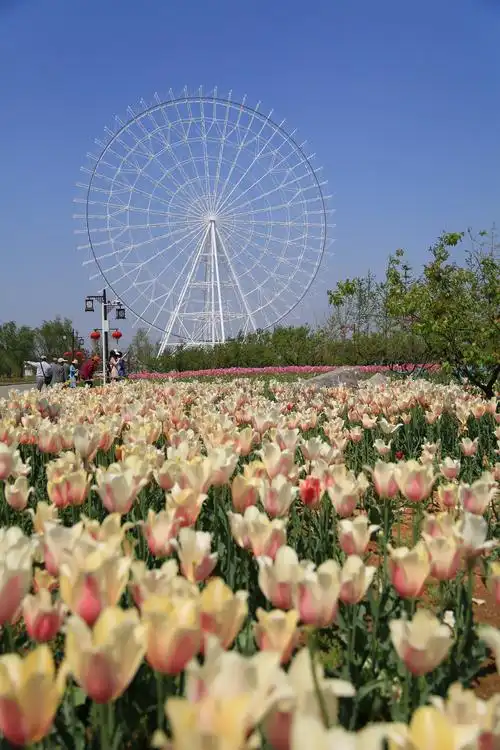 泰安天颐湖风光