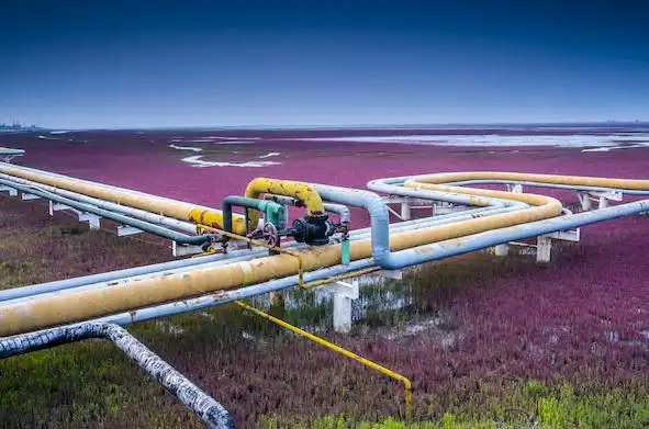 中俄原油管道十五年谈判纪实