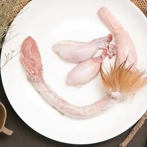 鲜鹿鞭东北鲜鹿鞭批发价格厂家直销