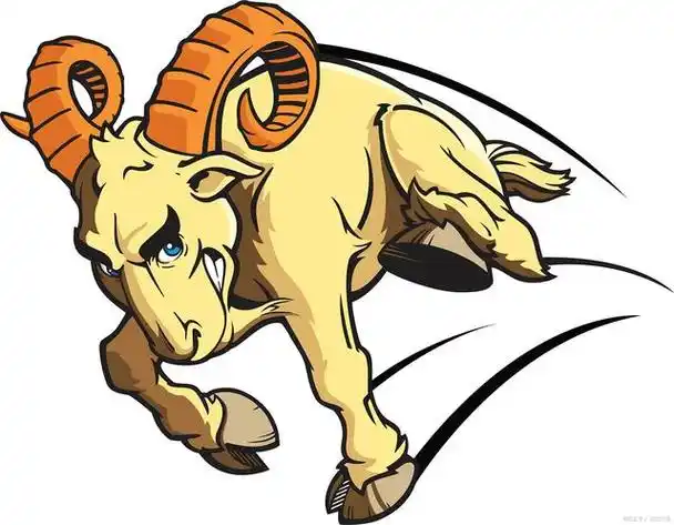 「炒股入门知识」如何抓住领头羊?