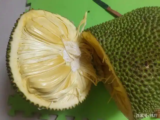 菠萝蜜怎么开?学会这个方法,吃得更甜!