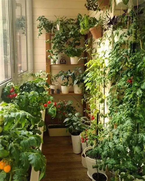 只是没必要全都这么去做,尤其是小阳台,有兴趣的倒不如考虑下改小花园