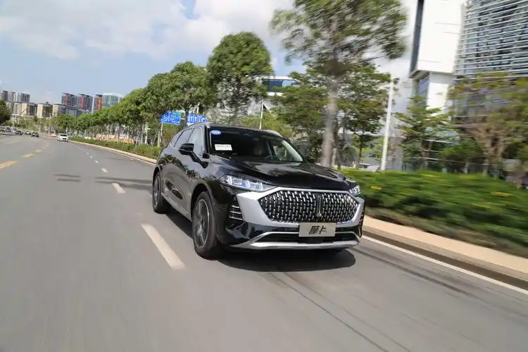 预售1798万元起wey摩卡将于5月21日上市