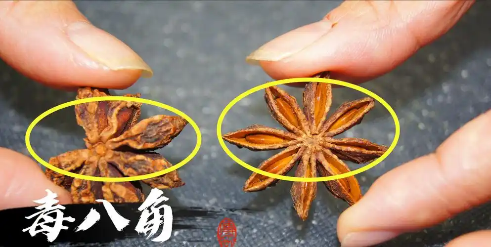 买八角时,要认清"直角"和"弯角",不买假八角,假八角有毒