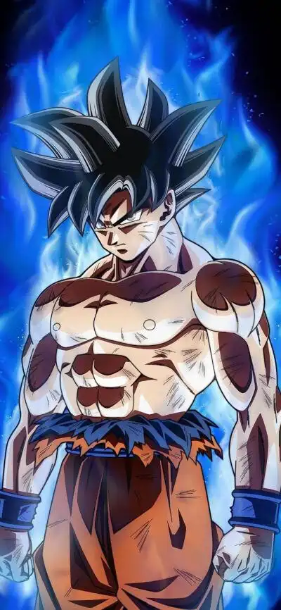 自在极意功,卡卡罗特