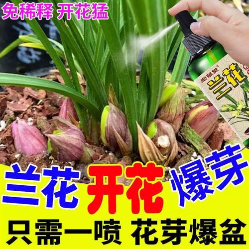 专用爆芽剂】兰花专用营养液烂根空根茎生根催芽催花液体肥免稀释