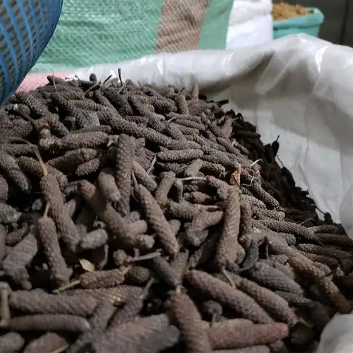 荜拨500g干货现货批发香料大全碧波卤水卤肉火锅底料调料