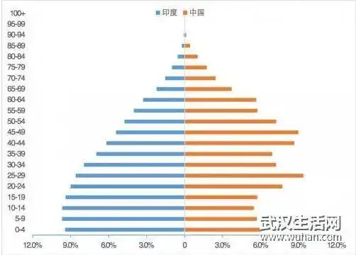 印度人口2020总人数几亿