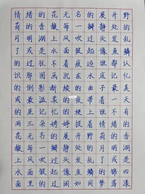 每日练字楷书手写