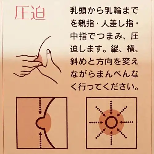 月子日志d8泌乳与孕期乳腺按摩