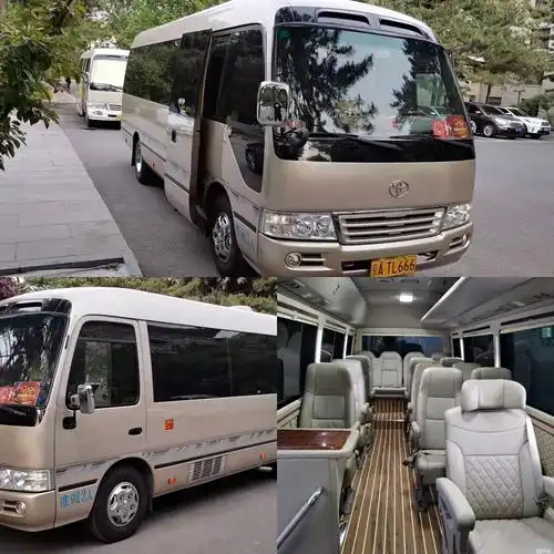 长途包车中巴考斯特中巴(30座以下)租车去坝上草原丰田考斯特,福特