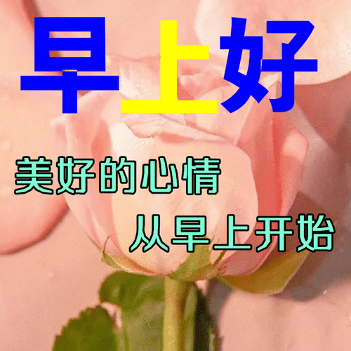 早上好朋友温馨的早上好问候祝福表情包早上好微信问候祝福图片