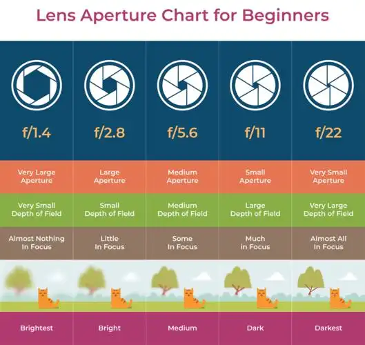 所以,在摄影摄像中,通常 使用 大光圈 来 突出表现某一单一 的 主题