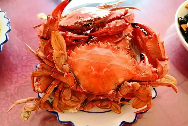 大连哈仙岛的这些海鲜,虽长相各异但味道鲜美至极,你都吃过吗?