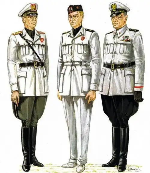 二战时意大利用牛奶做军服非常时尚结果却悲剧了