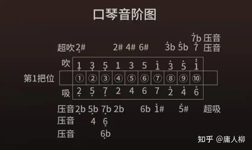 口琴选购攻略指南:口琴怎么学,口琴哪种好学(入门到进阶口琴推荐)