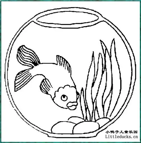 各种鱼的简笔画图片大全9