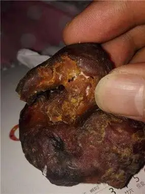 滁州鸭宝鉴定中心