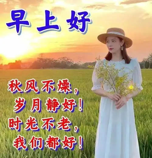 唯美早安问候祝福语|快乐|清晨|幸福|早上好|平安健康_网易订阅